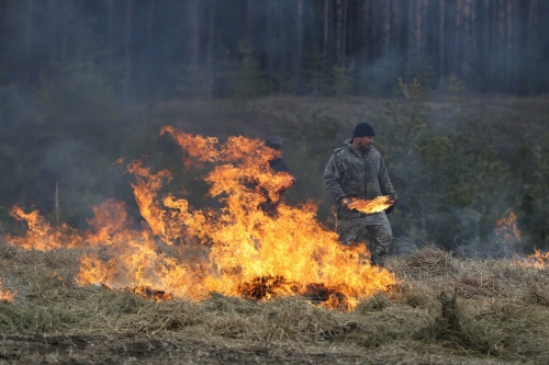 С 25 апреля в Татарстане начнет действовать особый противопожарный режим